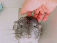 -龙猫仔乐园(惠福东路店)