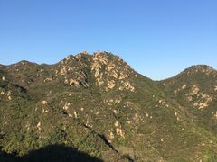 -大岭沟猕猴桃谷风景区