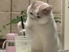 -海底捞火锅(锦艺城店)