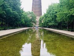 -玲珑塔公园