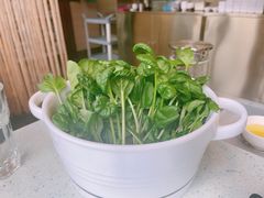 -烹然四季椰子鸡火锅(团结湖总店)