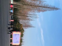 -东平国家森林公园