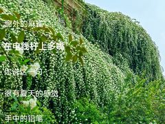 -成都当代影像馆