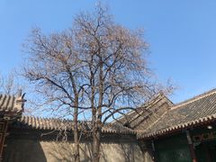 -张学良旧居陈列馆