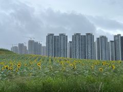 -光明小镇欢乐田园