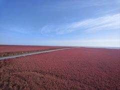 -红海滩国家风景廊道