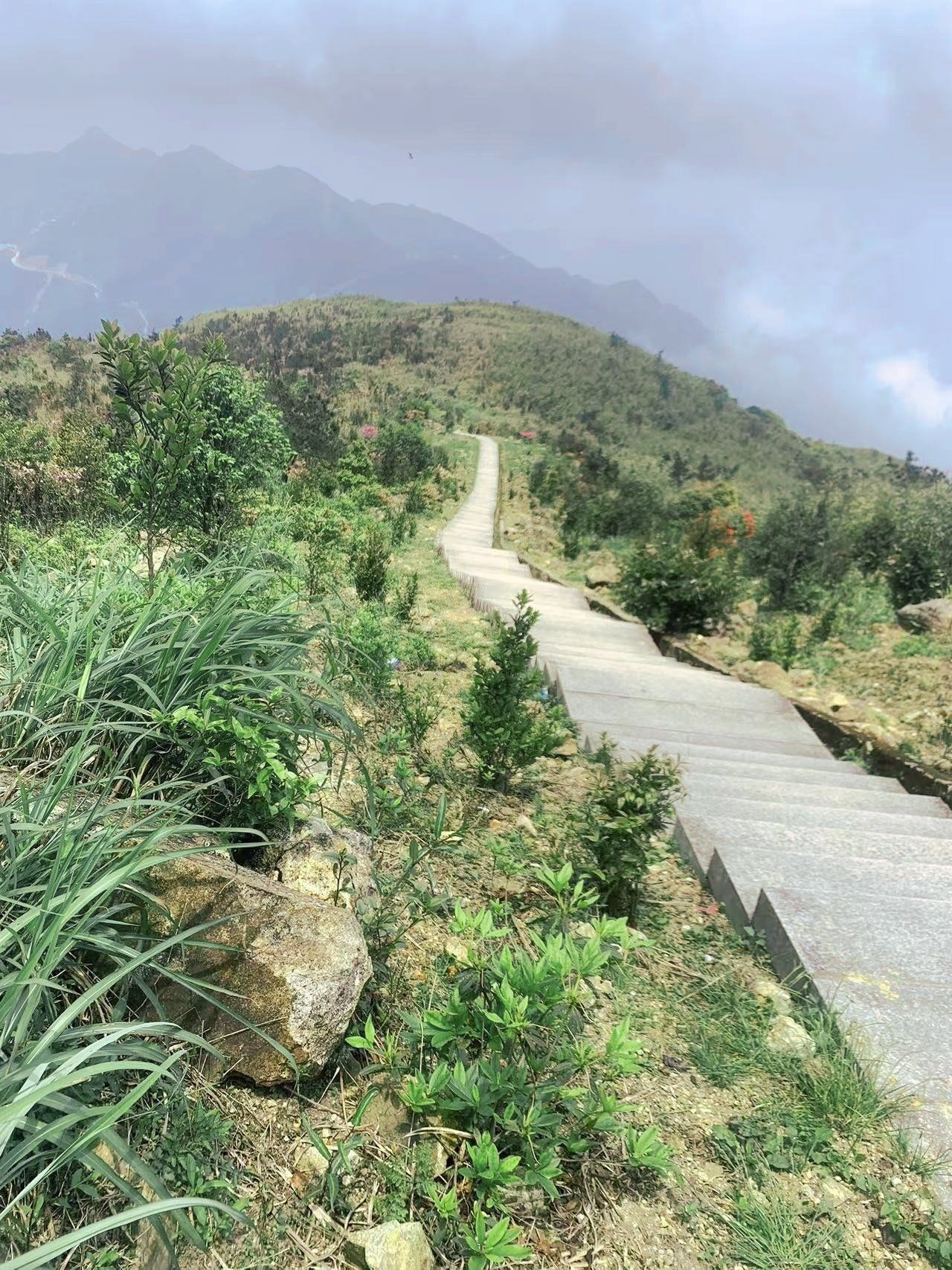 闽南第一高峰  大芹山