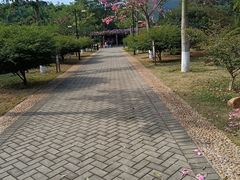 -大屏嶂森林公园