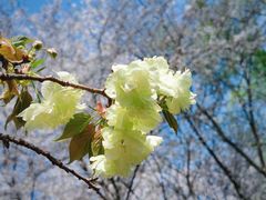-白塘生态植物园