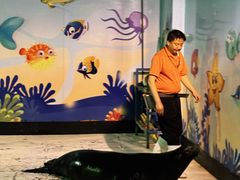 -太平洋海底世界