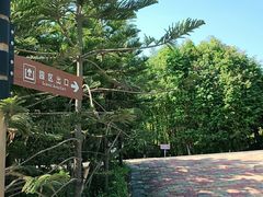 -迪茵湖田家舍生态农场
