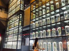 -广东中医药博物馆