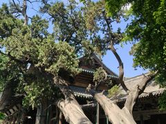 -晋祠公园