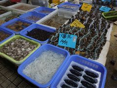 -大湾区中央湿地公园-十九涌
