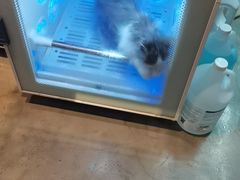 -PETKIT小佩宠物·低压洗护(国顺东路店)