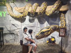 -Zoolung Zoolung动物主题公园(海信广场店)