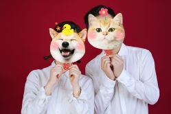 -小七摄影·礼服馆(中铁·逸都国际店)