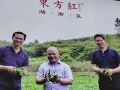 -东方红·湖南菜(金屿店)