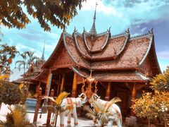 -西双版纳傣族园