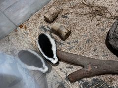 -海合安武汉极地海洋公园