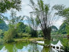 -靖西鹅泉风景区