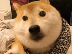 -九月生活(江汉店)