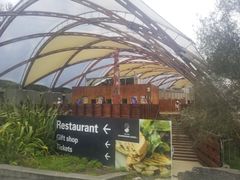 -怀托摩萤火虫洞