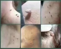 -香薇妮丝·定制减肥·身材管理