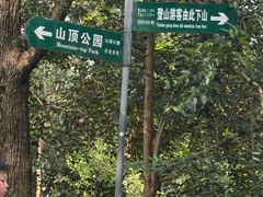 -紫金山山顶公园