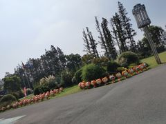 -上海长兴岛郊野公园