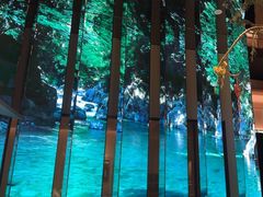 -桂满陇·海市蜃楼·黑金(国金店)