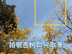 -莲湖公园