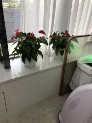 -悟空祛痘·诺奖技术专业店