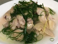 豉油鸡-新陶陶酒家