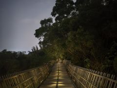 -福道