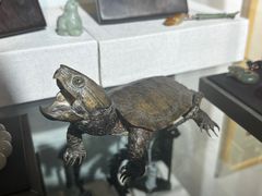 -灵龟之家百象馆(百象馆联合旗舰店)