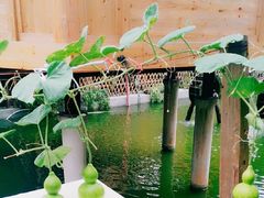 -九曲溪竹筏码头