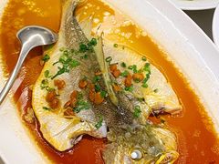 潮汕普宁豆蒸黄花鱼-维园悦谱·海派家常菜(乌鲁木齐南路店)