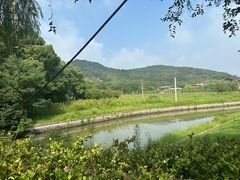 -上海佘山国家森林公园天马山园