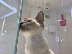 -龟与熊猫宠物公园(南坪店)