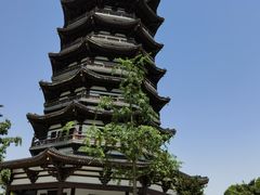 -洋湖国家湿地公园