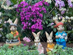 -石家庄市植物园