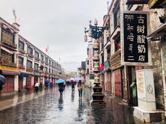 -古树酸奶(八廓南街店)