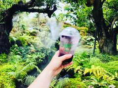 -Chom Cafe and Restaurant