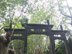 -杭州黄龙洞