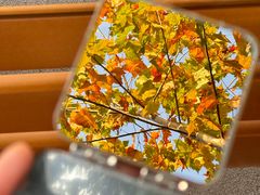 -M Stand(上海人民广场来福士店)