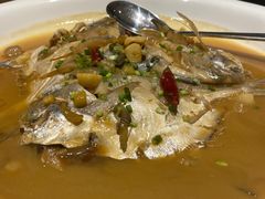 -沪碟·精菜坊(闵行店)