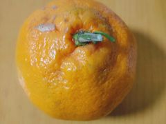 -美廉美多点(新龙店)