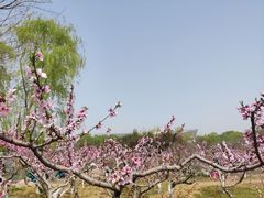 -郑州植物园