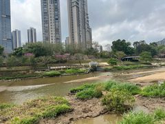 -深圳湾公园(南山区)